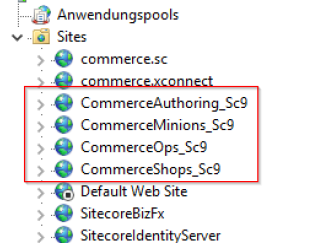 2018-08-06 17_07_02-Internetinformationsdienste (IIS)-Manager